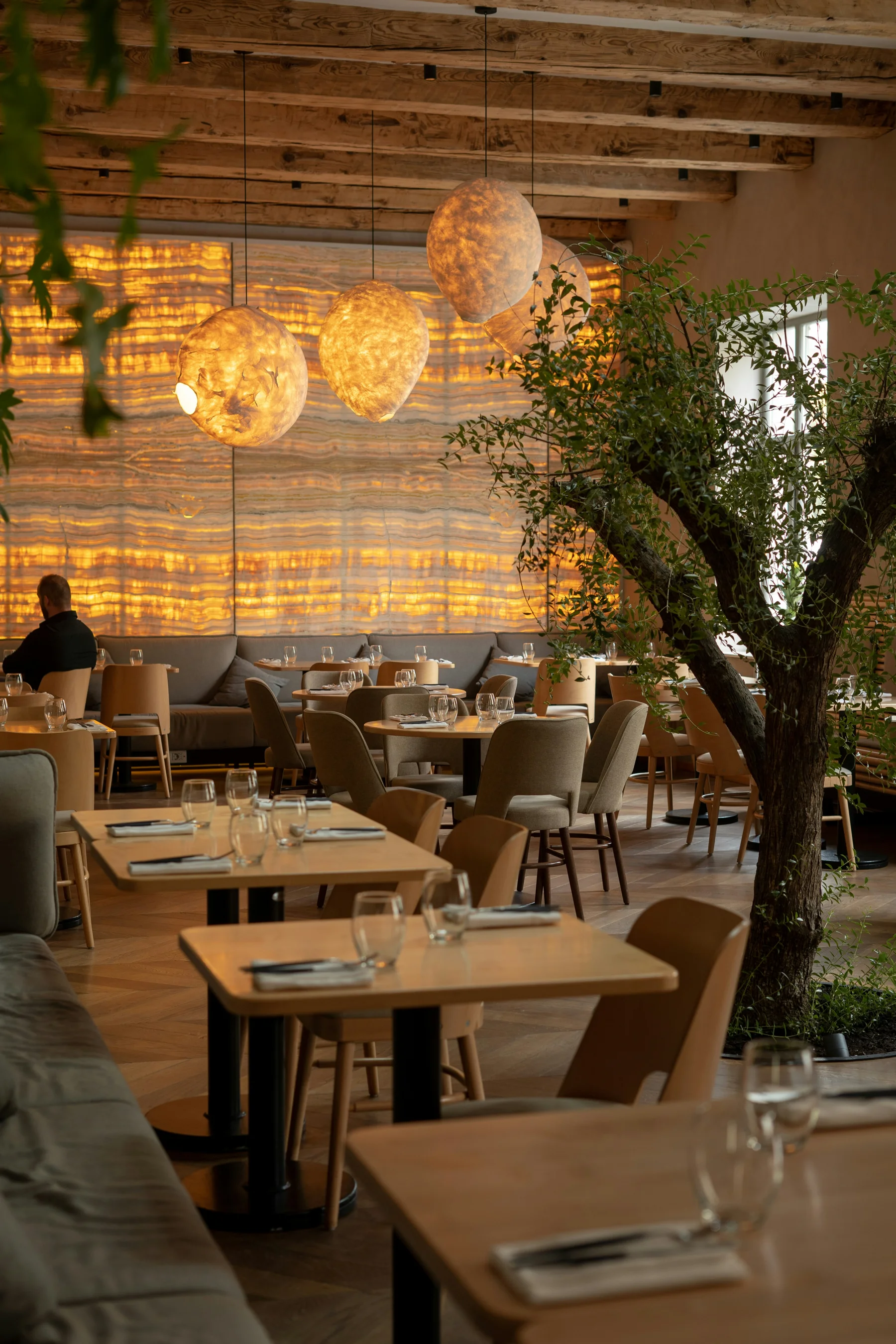 Interior de referencia con madera, vegetación y lámparas de luz ámbar